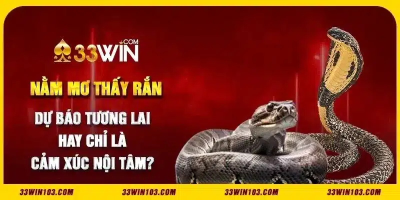 Nằm mơ thấy rắn - Dự báo tương lai hay chỉ là cảm xúc nội tâm?