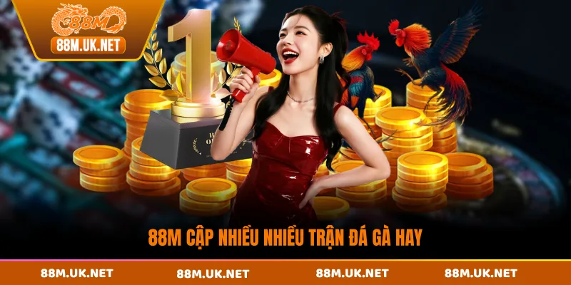 88M cập nhật nhiều nhiều trận đá gà hay
