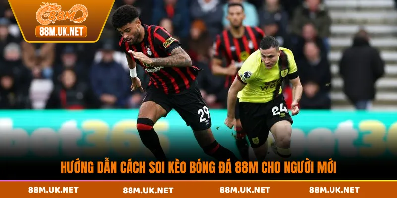 Hướng dẫn cách soi kèo bóng đá 88M cho người mới