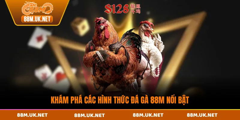 Khám phá các hình thức đá gà 88M nổi bật